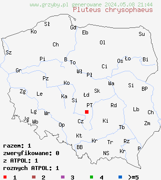 znaleziska Pluteus chrysophaeus (drobnołuszczak żółtooliwkowy) na terenie Polski