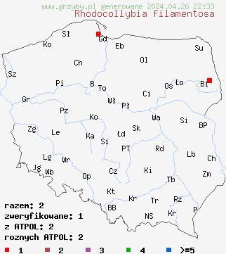 znaleziska Rhodocollybia filamentosa na terenie Polski