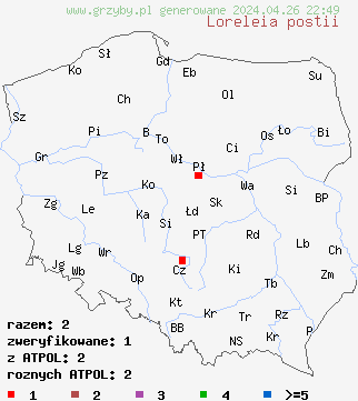 znaleziska Loreleia postii na terenie Polski