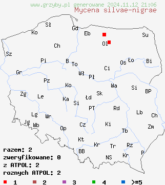 znaleziska Mycena silvae-nigrae na terenie Polski