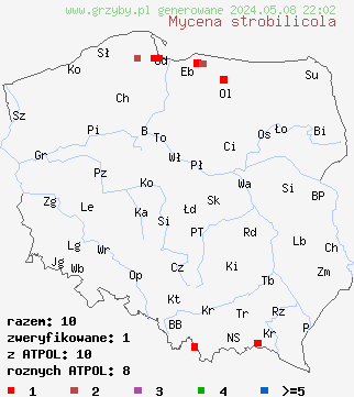 znaleziska Mycena strobilicola na terenie Polski