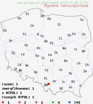 znaleziska Mycena tenuispinosa na terenie Polski
