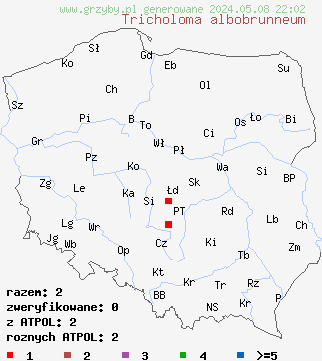 znaleziska Tricholoma albobrunneum (gąska białobrązowa) na terenie Polski