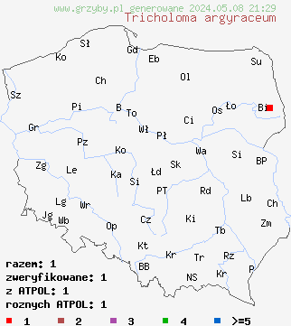znaleziska Tricholoma argyraceum na terenie Polski