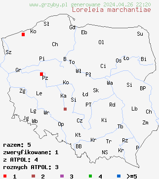 znaleziska Loreleia marchantiae na terenie Polski