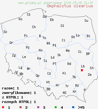 znaleziska Omphalotus olearius na terenie Polski