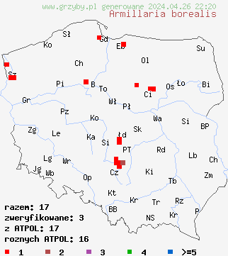 znaleziska Armillaria borealis na terenie Polski