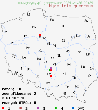 znaleziska Mycetinis querceus na terenie Polski