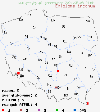 znaleziska Entoloma incanum (dzwonkówka brązowozielona) na terenie Polski