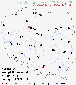 znaleziska Entoloma phaeocyathus na terenie Polski