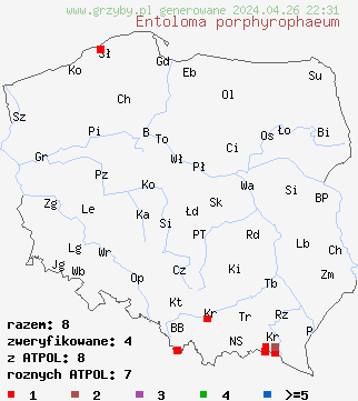znaleziska Entoloma porphyrophaeum na terenie Polski