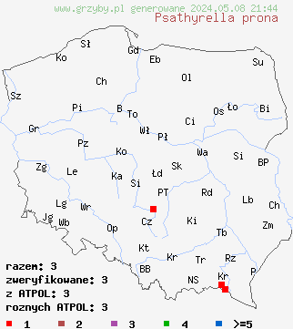 znaleziska Psathyrella prona (kruchaweczka przydrożna) na terenie Polski