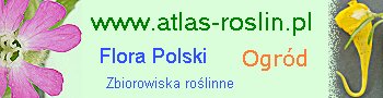 atlas-roslin.pl