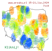 aktualny stan występowania grzybów jadalnych w Polsce